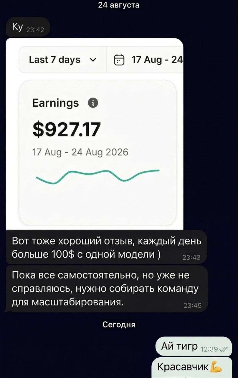 Результат участника по монетизации AI-модели